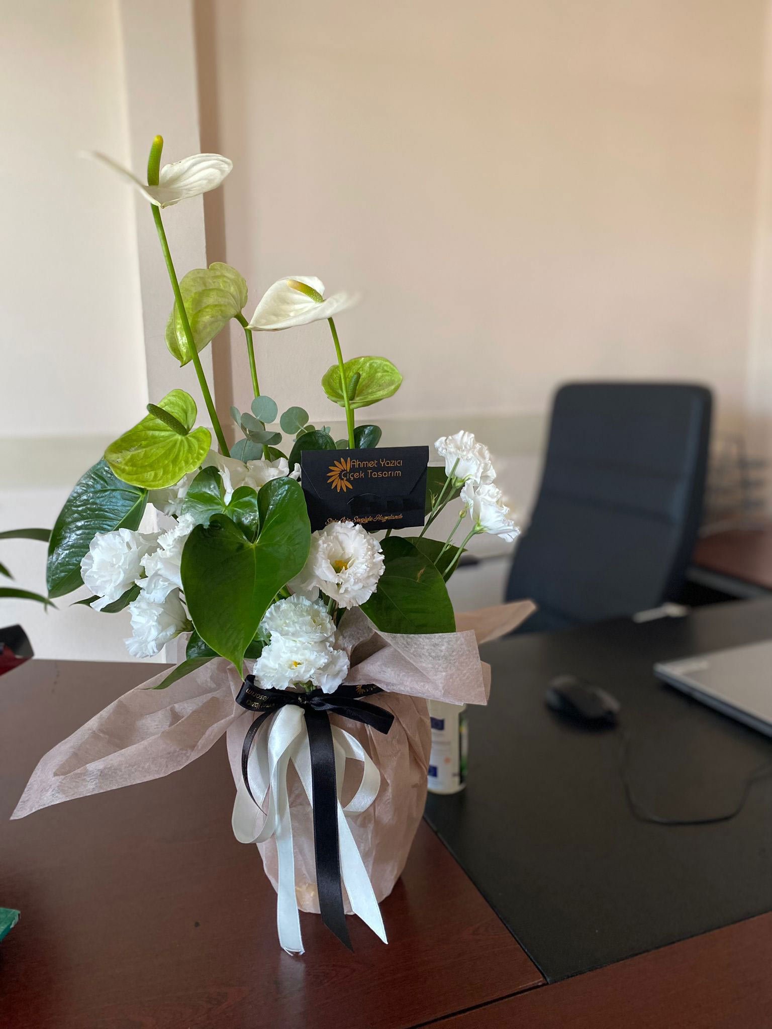 Beyaz Antoryum Saksı