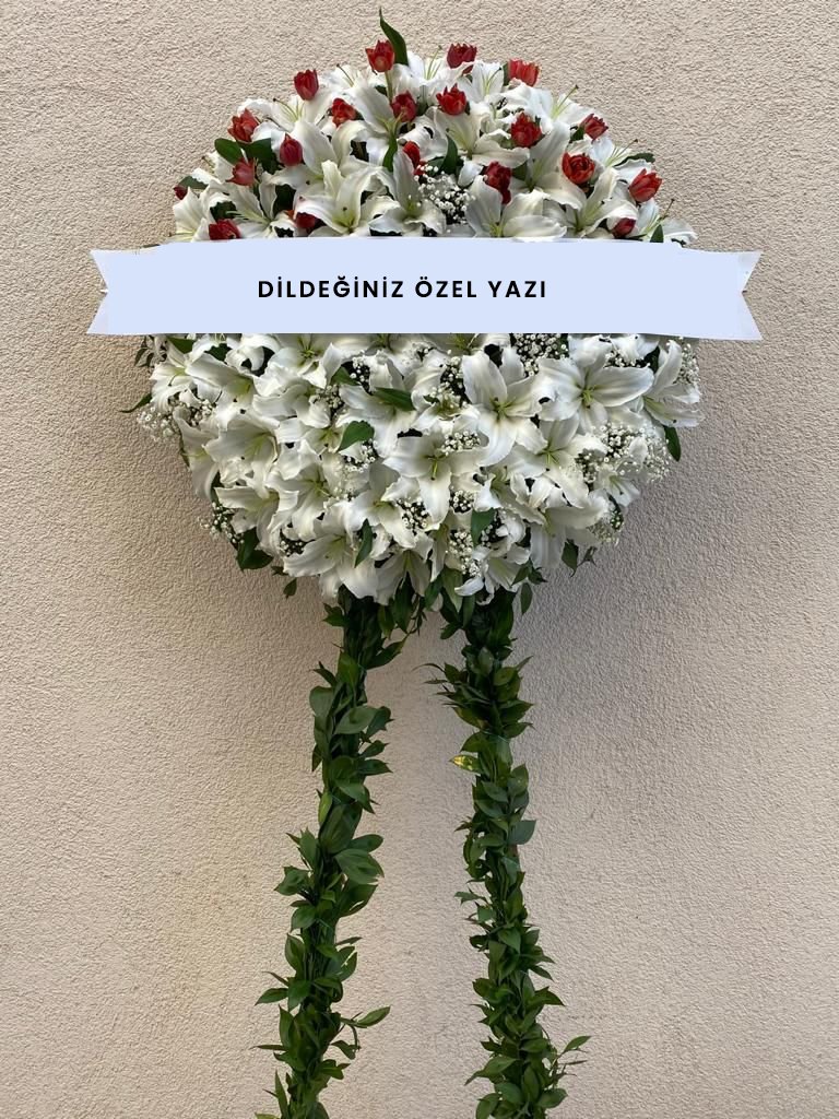 a8f47ed78a677093d626242b2bae3ab3